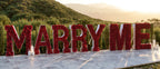 Light Up Your Celebration with Our Marquee Letters